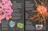 Usborne - First encyclopedia of science