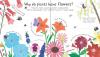 Lift-the-flap How do flowers grow?