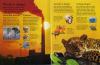 Usborne First encyclopedia of our world