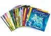 The Usborne Advent Bookshelf