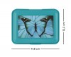 Baagl Box na svačinu Butterfly