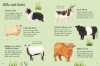 Farm Animals to Spot