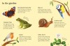 Urban Wildlife to Spot