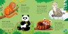 Zoo Matching Games and Book