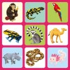 Zoo Matching Games and Book
