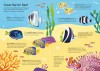 Usborne Book and Jigsaw Coral Reef