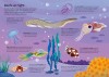 Usborne Book and Jigsaw Coral Reef