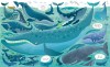 Book and Jigsaw Under the Sea