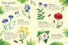 Flowers to Spot