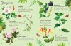 Flowers to Spot
