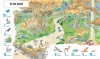 1001 Animals to Spot