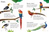 Zoo Animals to Spot