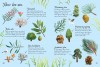 Trees to Spot