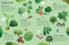 Trees to Spot