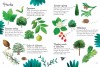 Trees to Spot