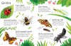 Bugs to Spot