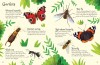 Bugs to Spot