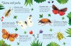 Bugs to Spot