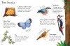 Woodland Life to Spot