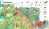 1001 Bugs to Spot