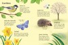 Things to Spot in Springtime