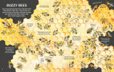 See Inside Bugs and Butterflies