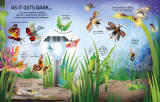 See Inside Bugs and Butterflies