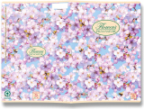 Nature Flowers školní sešit A5 čistý mix motivů