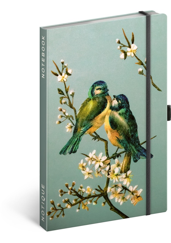 Notes Ptáci Kateřiny Winterové, linkovaný, 13 × 21 cm