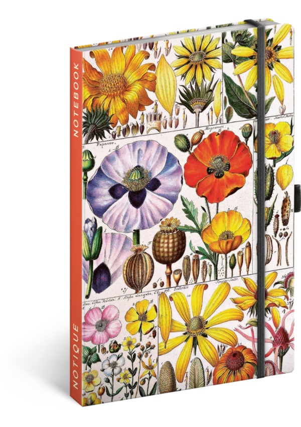 Notes Herbář Kateřiny Winterové, linkovaný, 13 × 21 cm