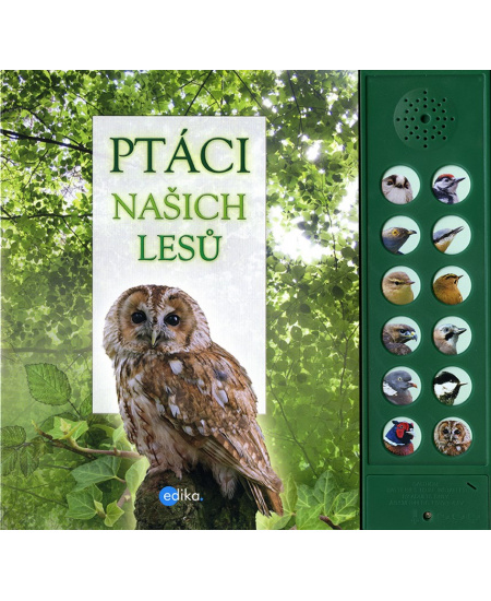 Ptáci našich lesů