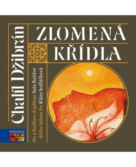 Levně Zlomená křídla (audiokniha)