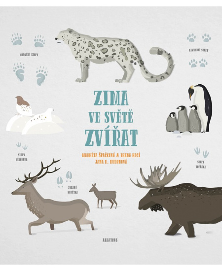 Levně Zima ve světě zvířat