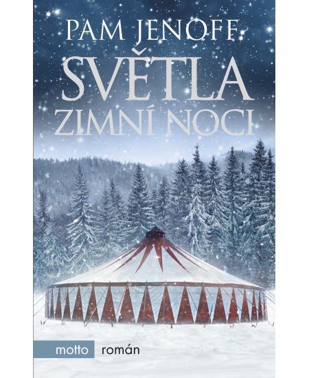 Levně Světla zimní noci