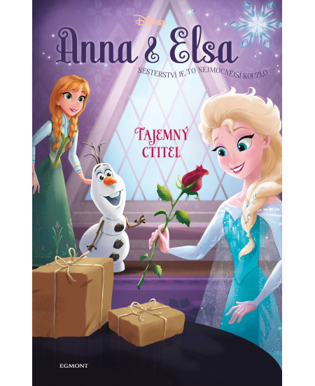 Levně Anna a Elsa Tajemný ctitel