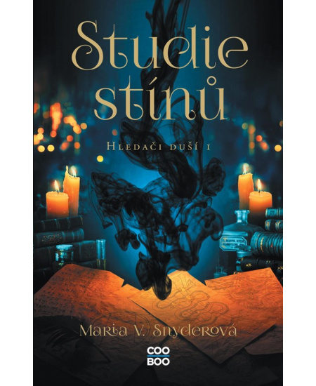 Levně Studie stínů