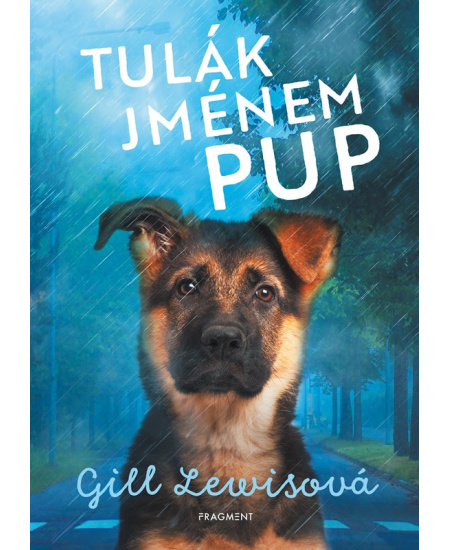 Levně Tulák jménem Pup