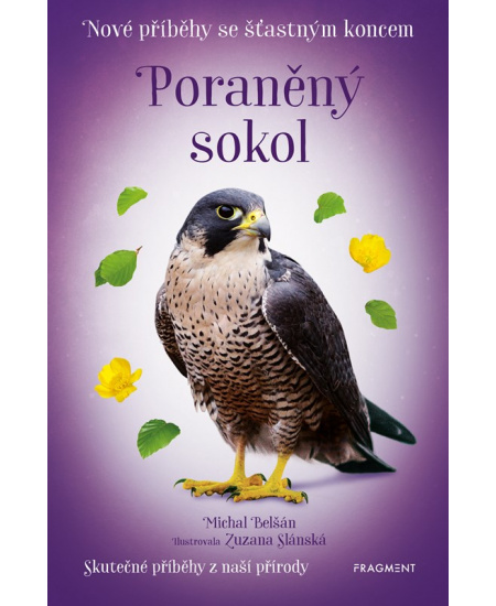 Levně Nové příběhy se šťastným koncem – Poraněný sokol