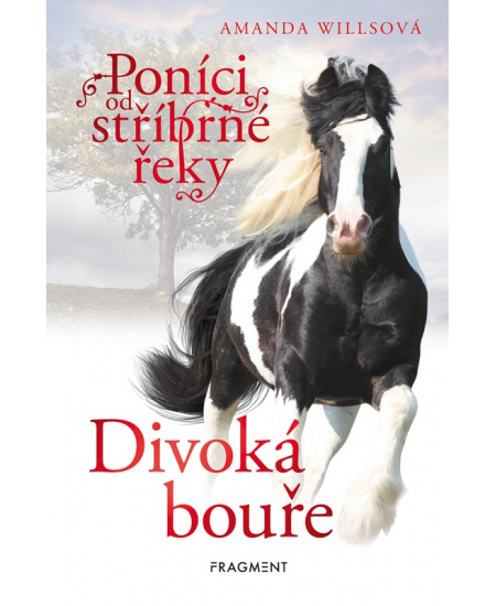 Levně Poníci od stříbrné řeky – Divoká bouře