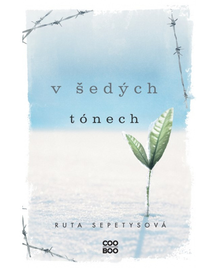 Levně V šedých tónech