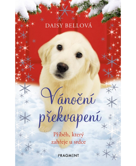 Vánoční překvapení