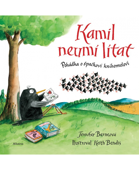 Levně Kamil neumí lítat