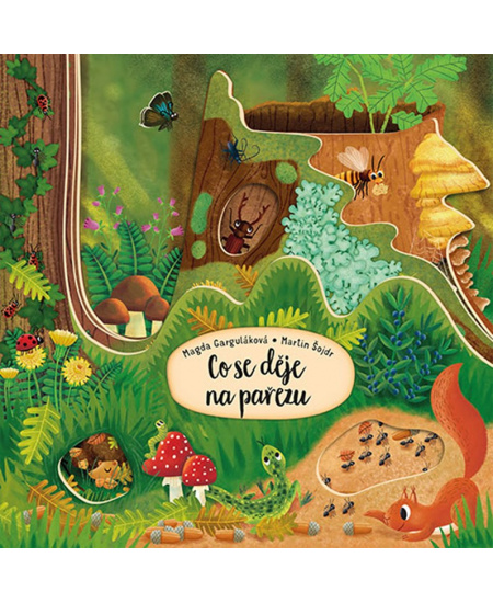 Co se děje na pařezu 