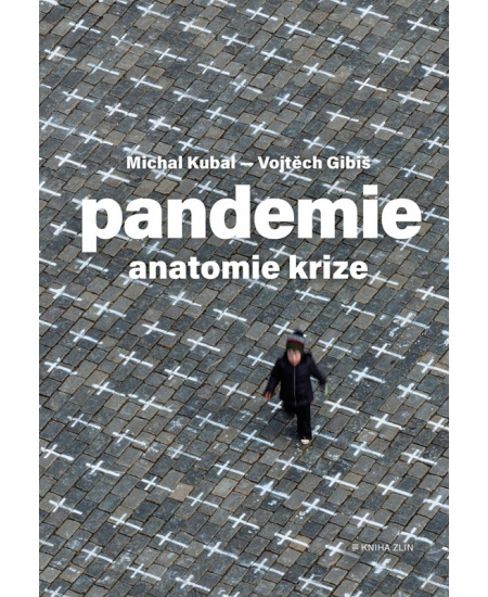 Levně Pandemie: anatomie krize