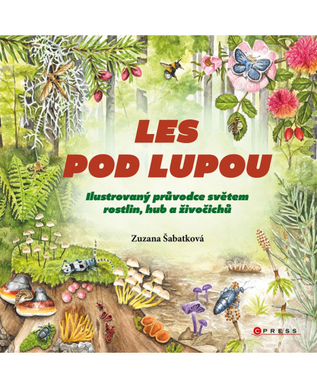 Levně Les pod lupou