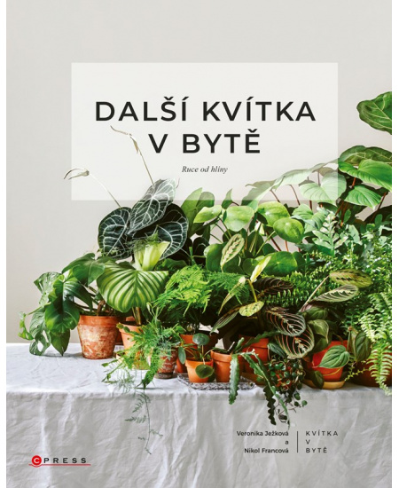 Levně Další kvítka v bytě: Ruce od hlíny