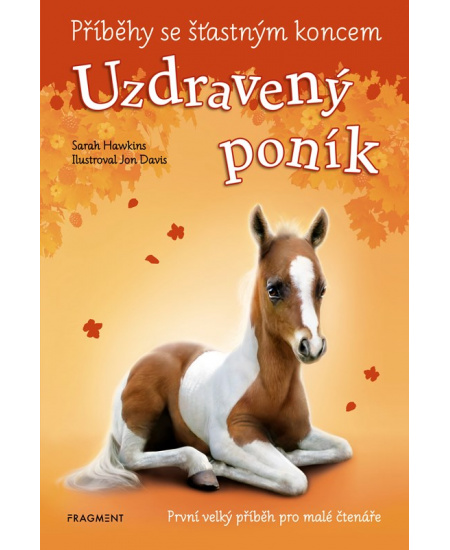 Levně Příběhy se šťastným koncem - Uzdravený poník