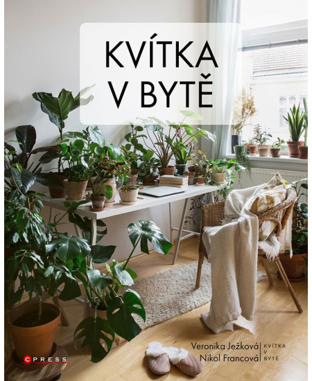 Levně Kvítka v bytě