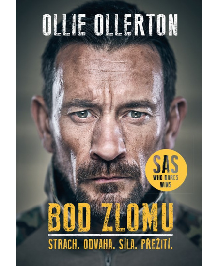 Bod zlomu