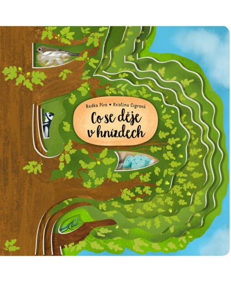 Co se děje v hnízdech